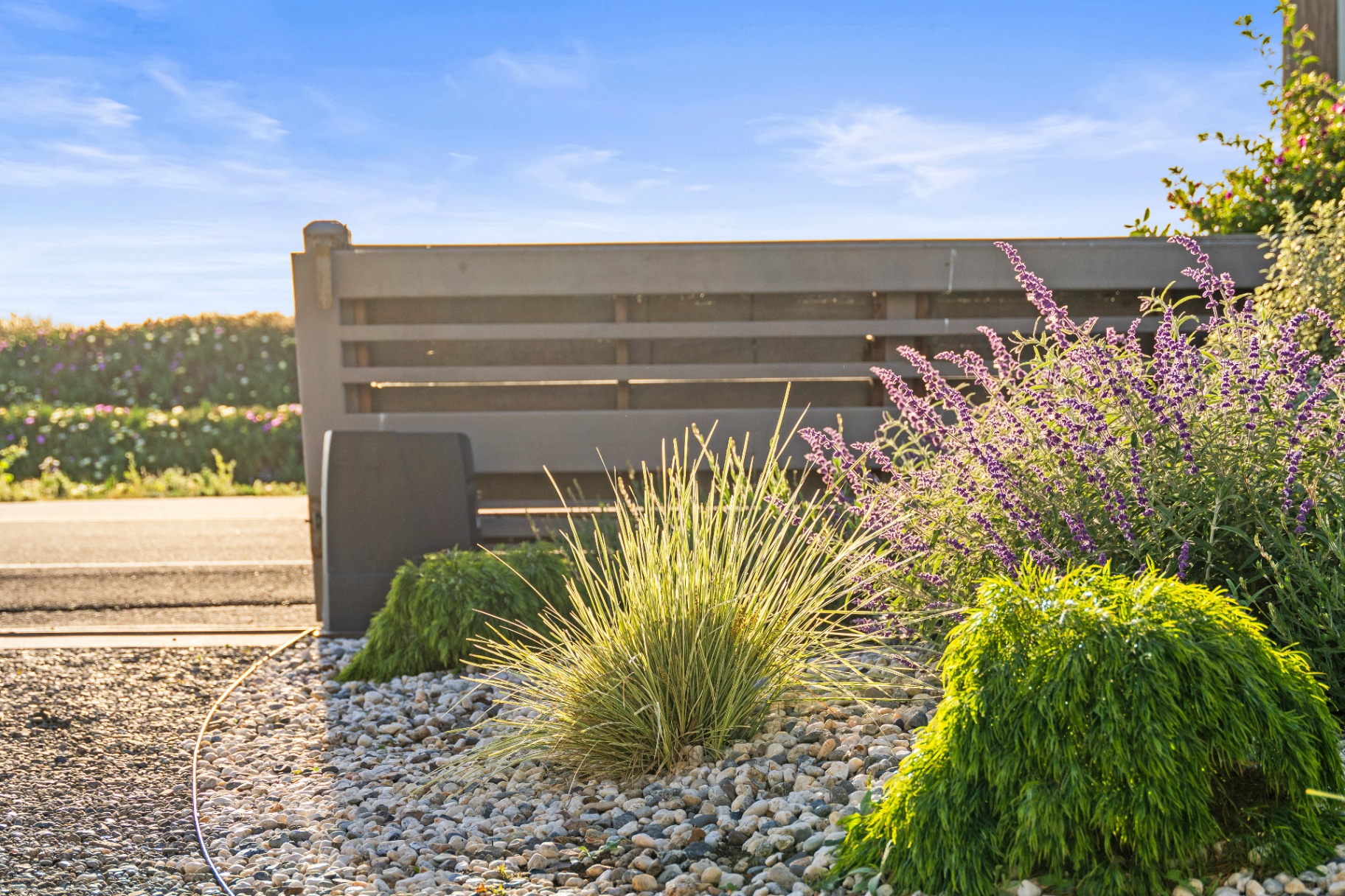 Riverfront landscaping beside the outdoor bench